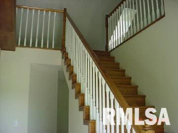 80 Rocking Chair Drive Murphysboro, IL 62966 - Photo 4 of 5
