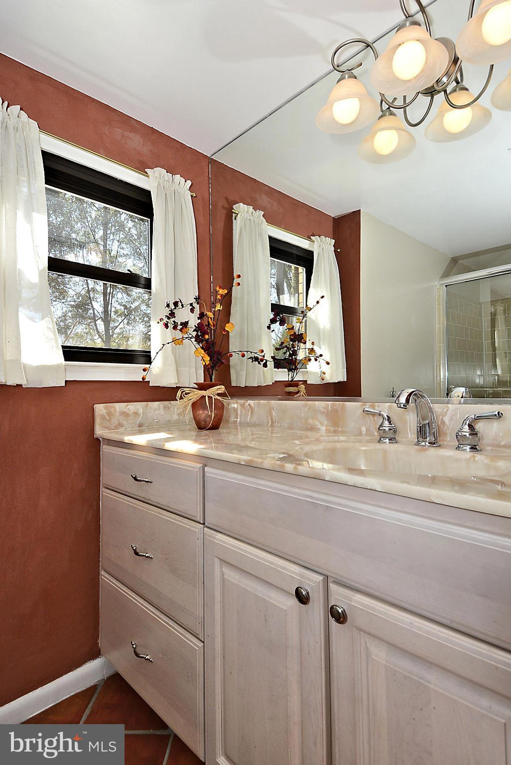 9921 Vale Road Vienna, VA 22181 - Photo 13 of 30 Full Bathroom