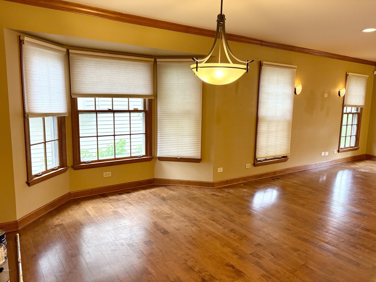 244 Knoll Street Wheaton, IL 60187 - Photo 4 of 26