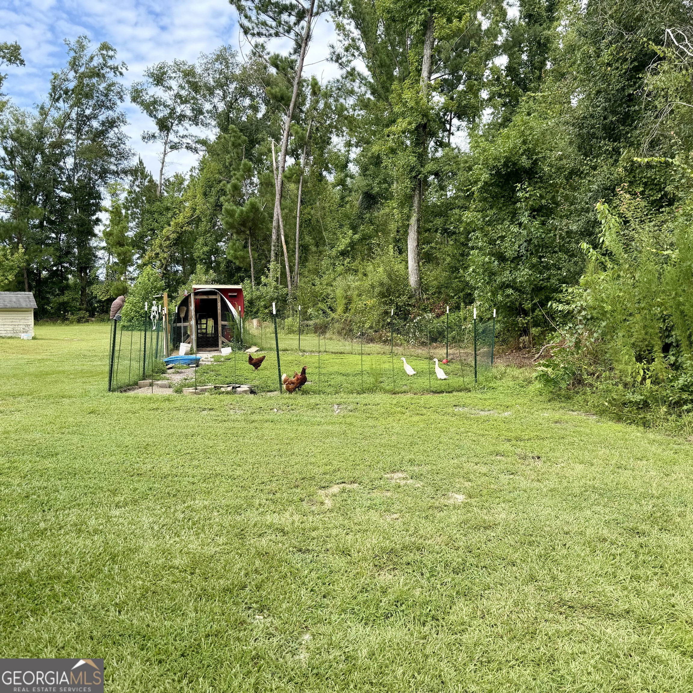 187 H H Pope Road Adrian, GA 31002 - Photo 52 of 65 Gallery Image 52