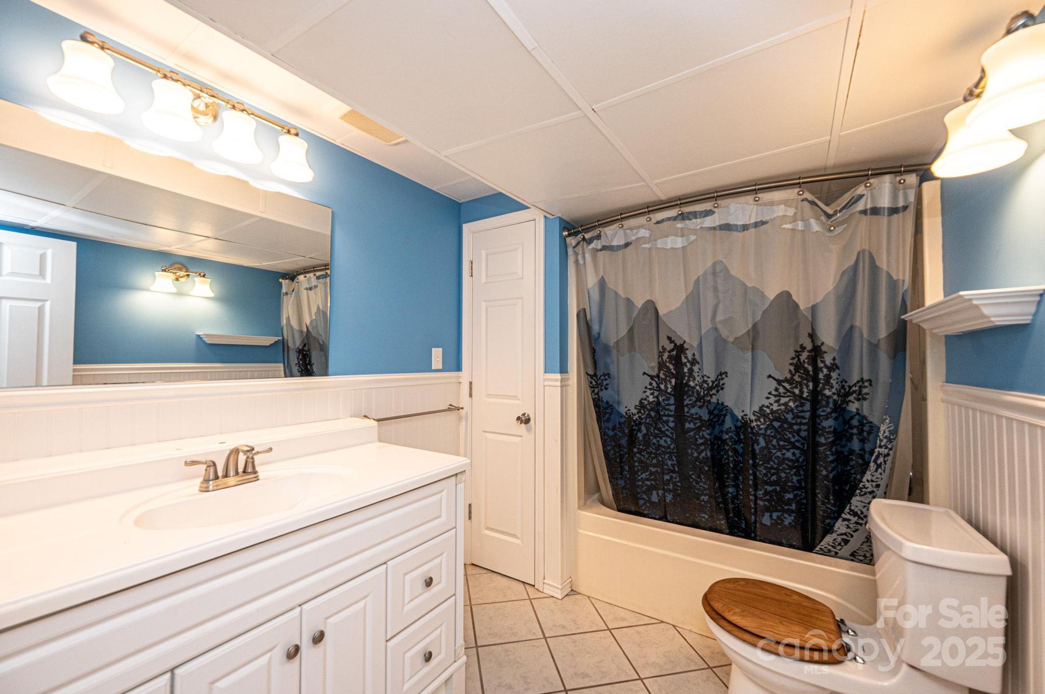 4846 Midway Sand Road Hickory, NC 28601 - Photo 29 of 48 a bathroom with a sink a toilet and shower