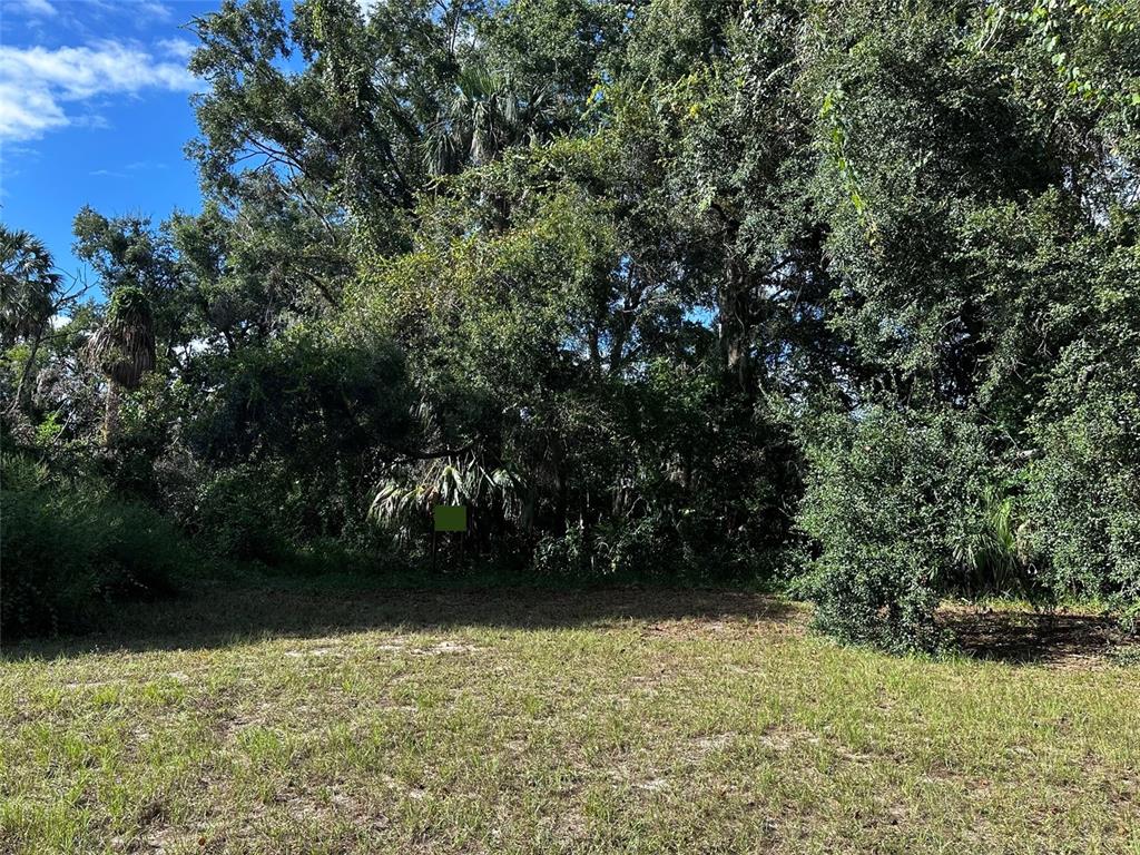 722 Highway 40 West Inglis, FL 34449 - Photo 1 of 23 a view of yard