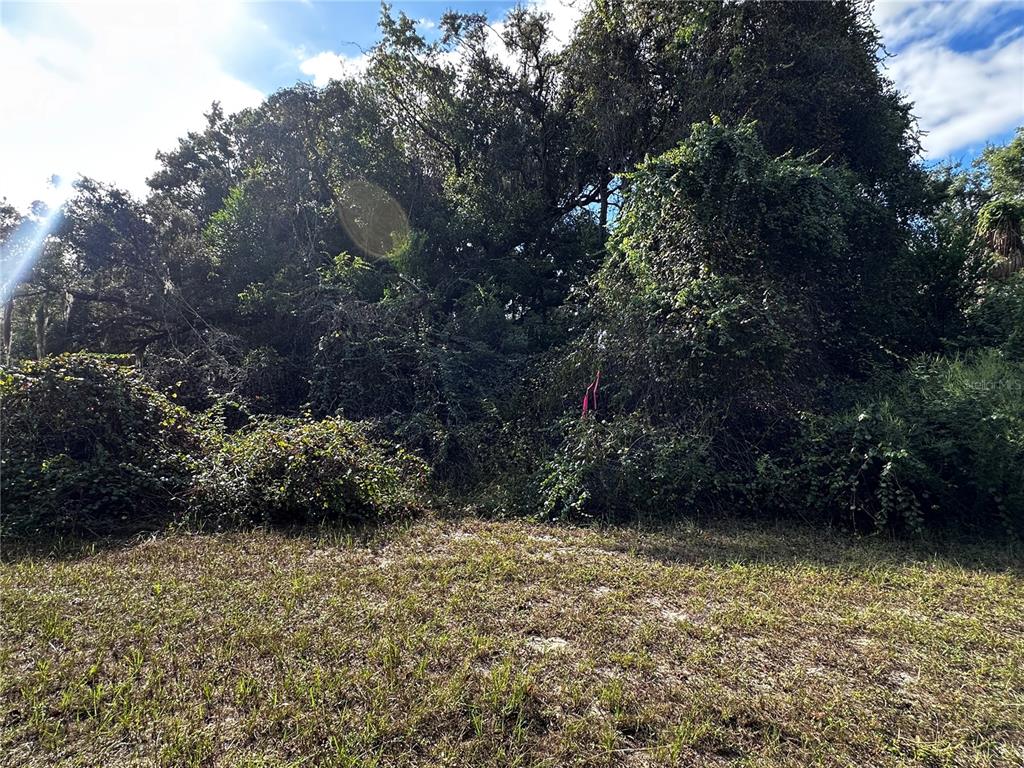 722 Highway 40 West Inglis, FL 34449 - Photo 11 of 23 a view of outdoor space and yard