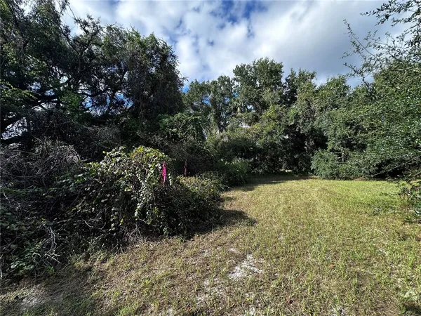 a view of outdoor space and yard