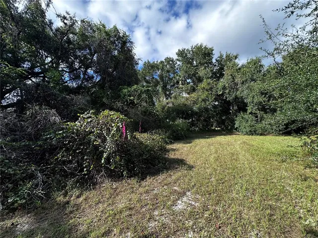 a view of outdoor space and yard