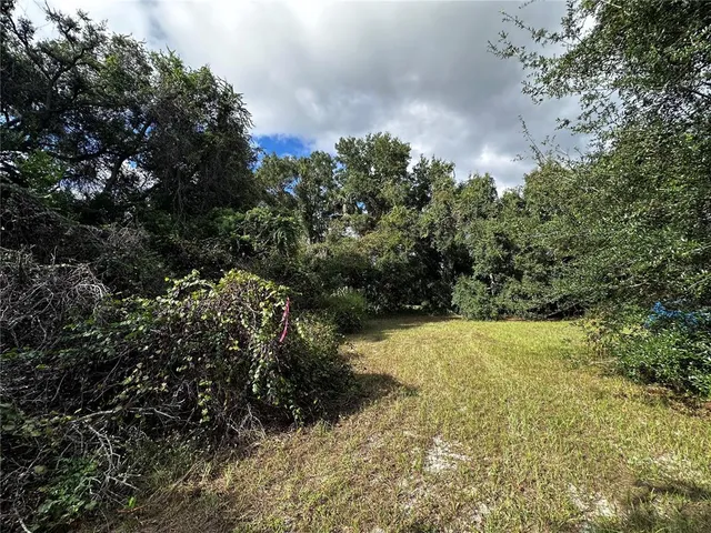 a view of a yard with plants and a bench