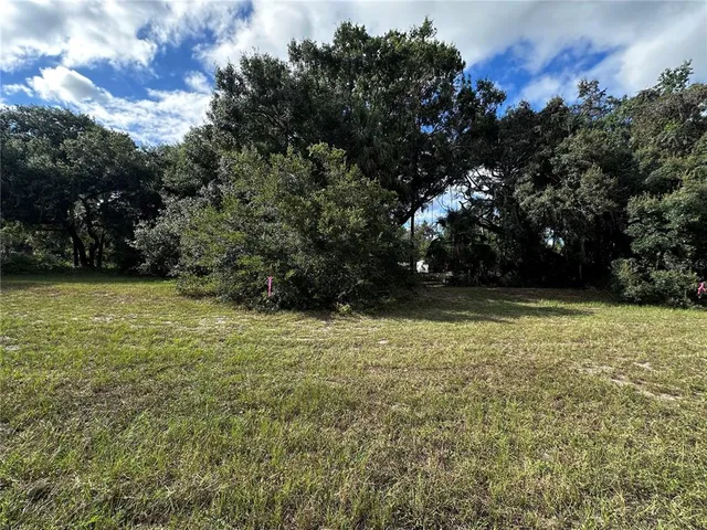 a view of outdoor space with garden