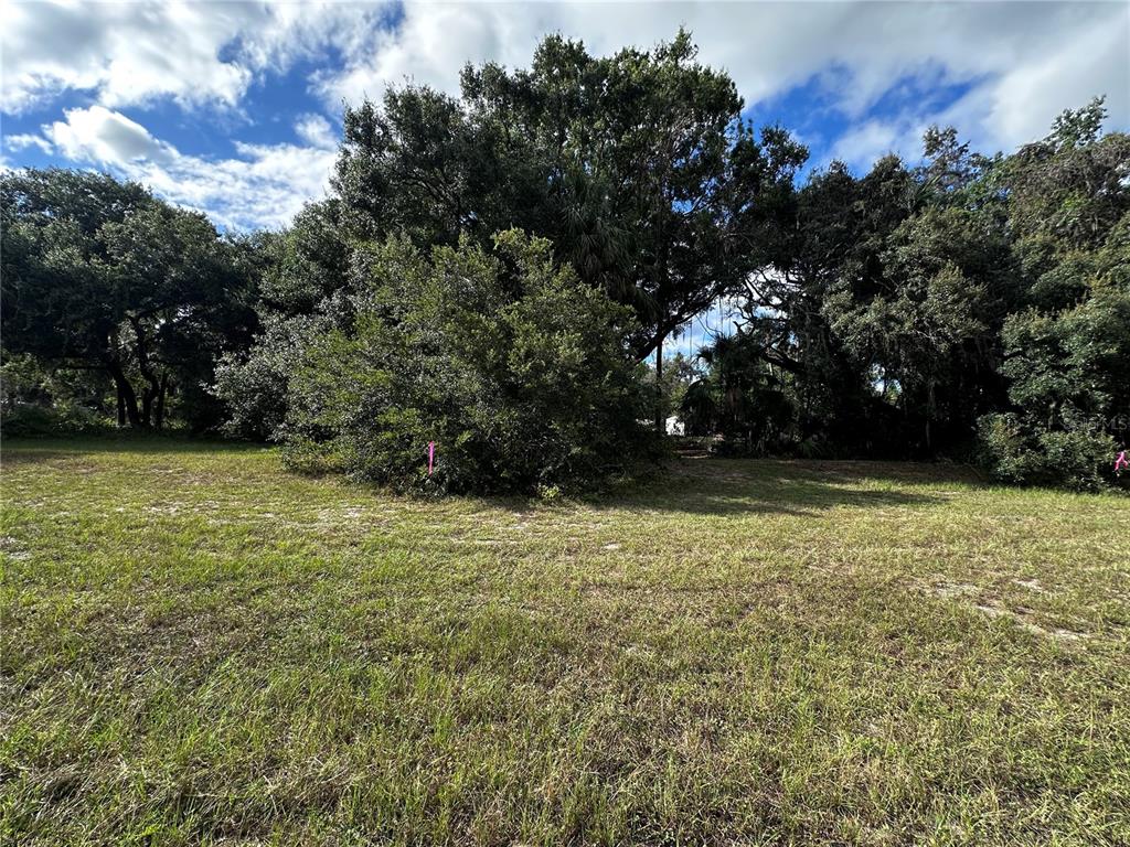 722 Highway 40 West Inglis, FL 34449 - Photo 18 of 23 a view of outdoor space with garden