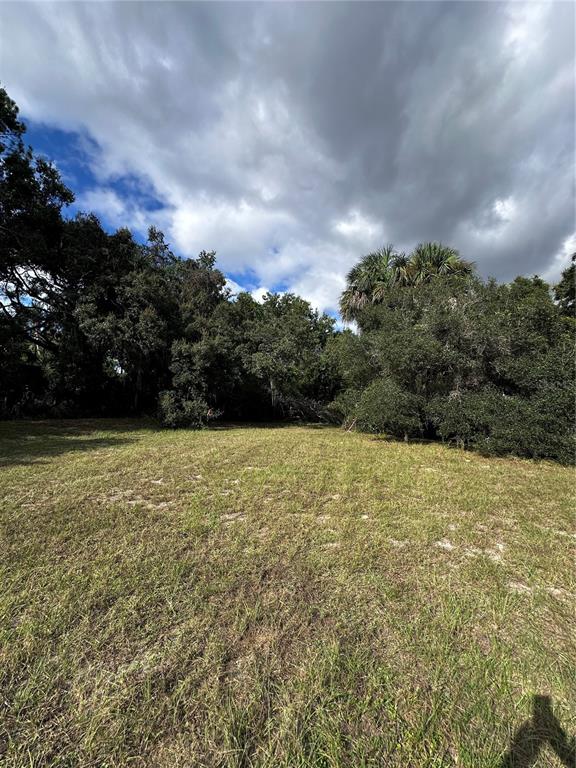 722 Highway 40 West Inglis, FL 34449 - Photo 20 of 23 a view of lake view and mountain view