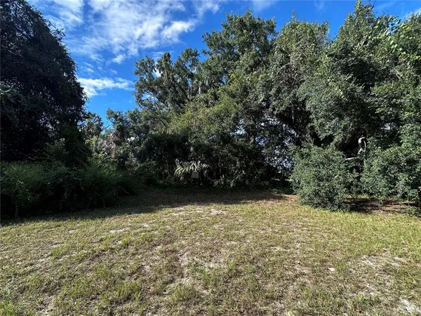 a view of backyard with green space