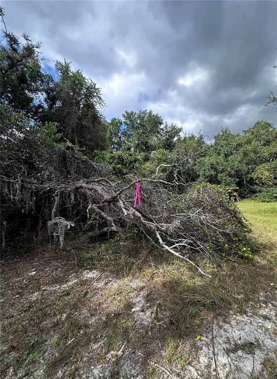 722 Highway 40 West Inglis, FL 34449 - Photo 22 of 23 a view of outdoor space and yard