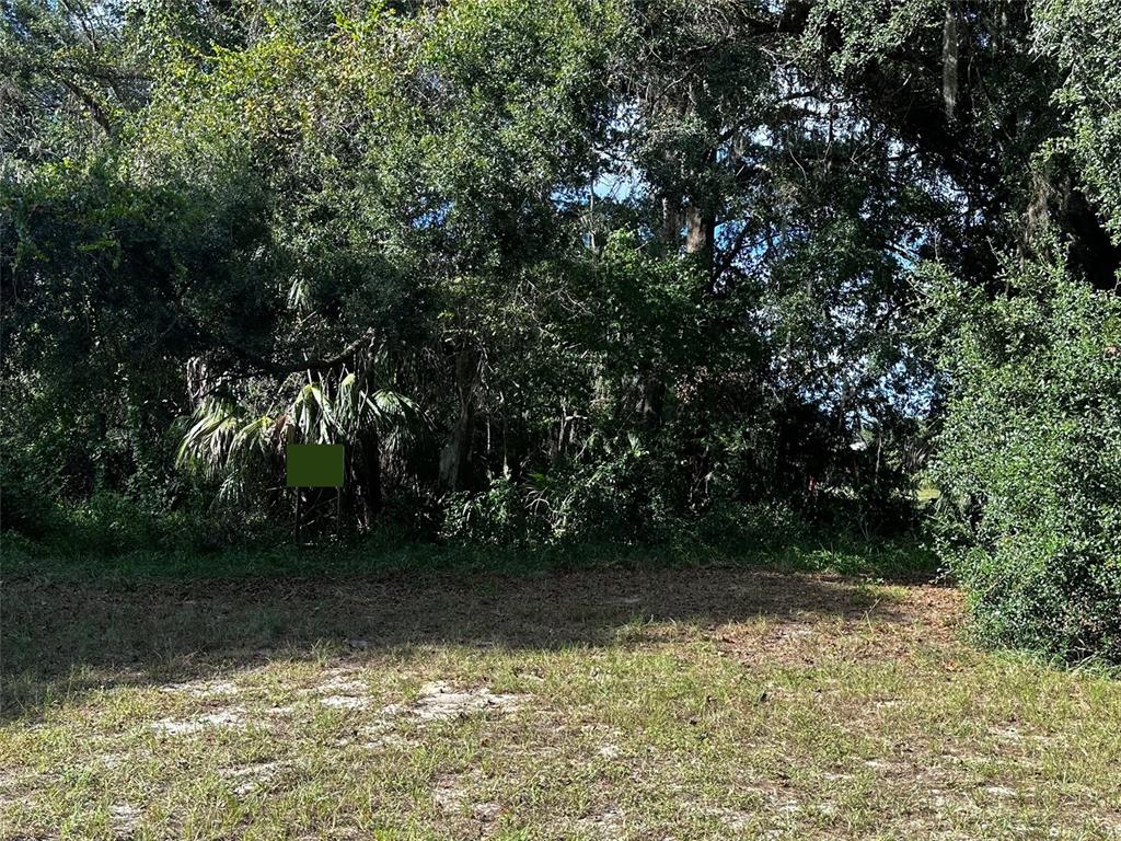 722 Highway 40 West Inglis, FL 34449 - Photo 3 of 23 a view of backyard with green space