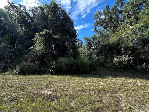 a view of backyard with green space