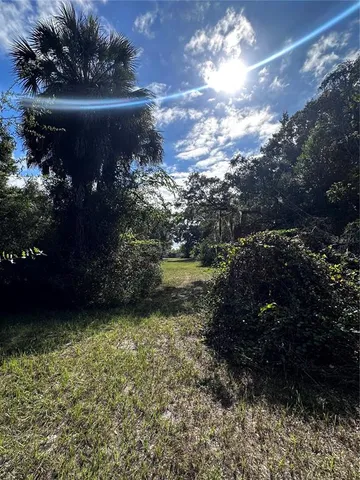 a view of a back yard of the house and green space
