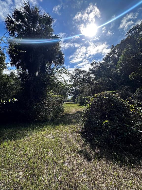 722 Highway 40 West Inglis, FL 34449 - Photo 5 of 23 a view of a back yard of the house and green space