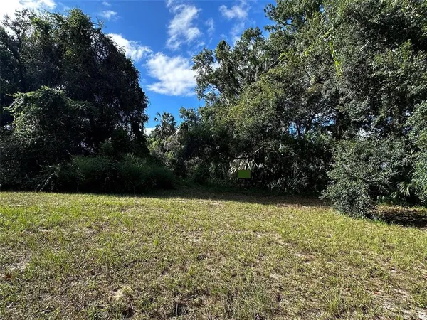 a view of a garden