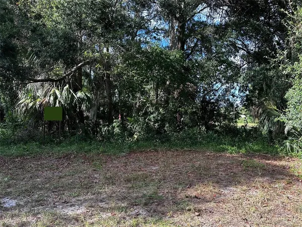 a view of a forest with trees in the background