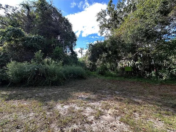 a view of a yard with a tree