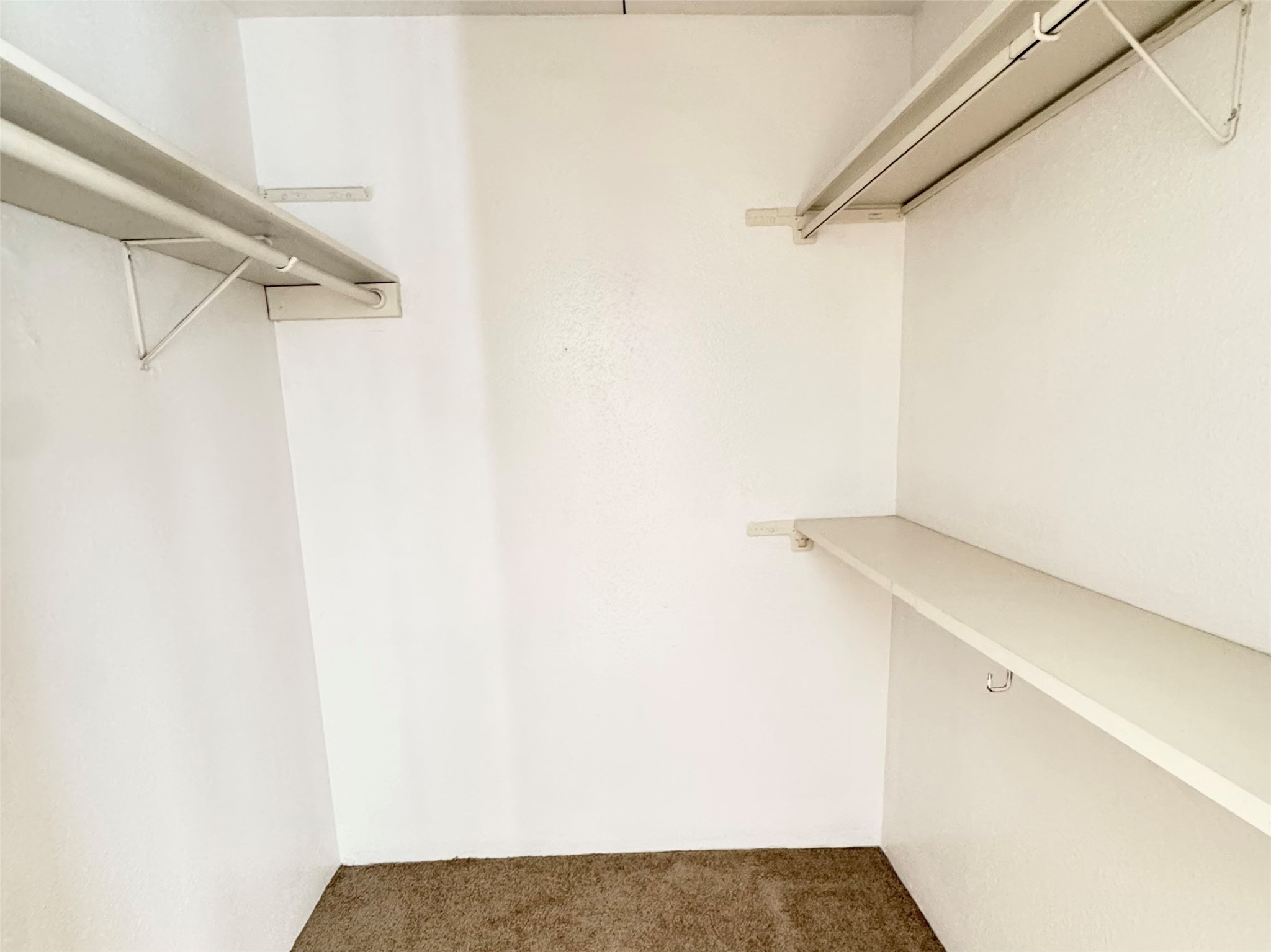 11002 Hammerly Boulevard, Unit 216 Houston, TX 77043 - Photo 14 of 16 Primary closet