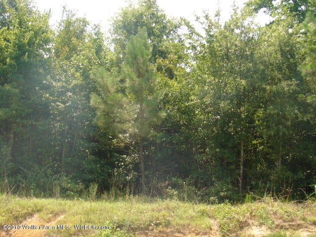 Myers Road Nauvoo, AL 35578 - Photo 1 of 1 Gallery Image 1