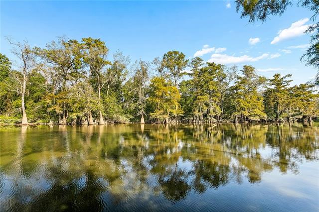 39817 Watters Road Ponchatoula, LA 70454 - Photo 14 of 16 Gallery Image 14