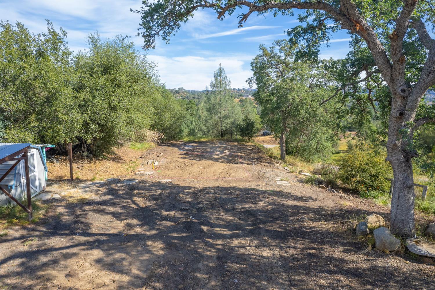 33717 River Knolls Road Coarsegold, CA 93614 - Photo 51 of 66 a view of a yard with plants and trees
