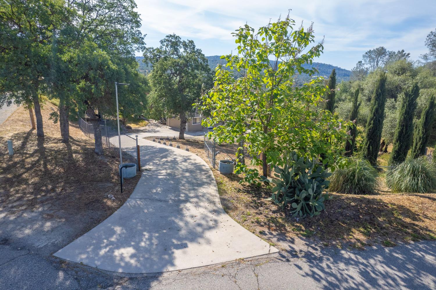 33717 River Knolls Road Coarsegold, CA 93614 - Photo 54 of 66 a view of a yard with plants and trees