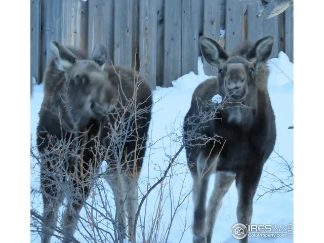 a view of balcony with a potted plant