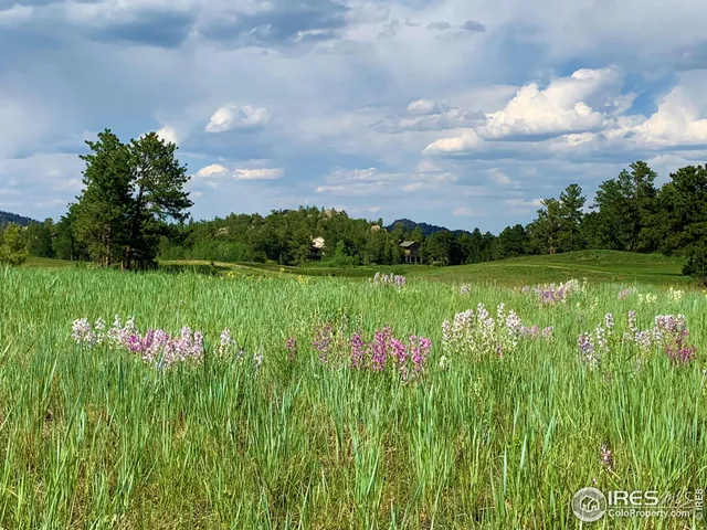 a view of a large garden with a big yard
