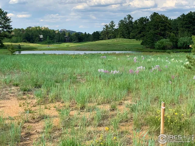 a view of a grassy field