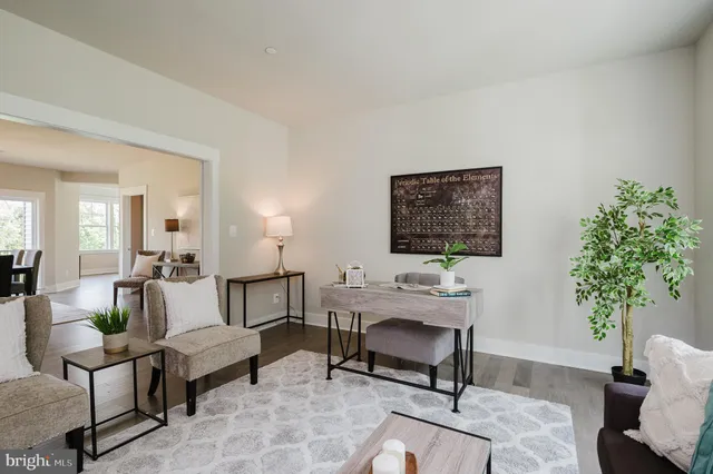 a living room with furniture a potted plant and a lamp