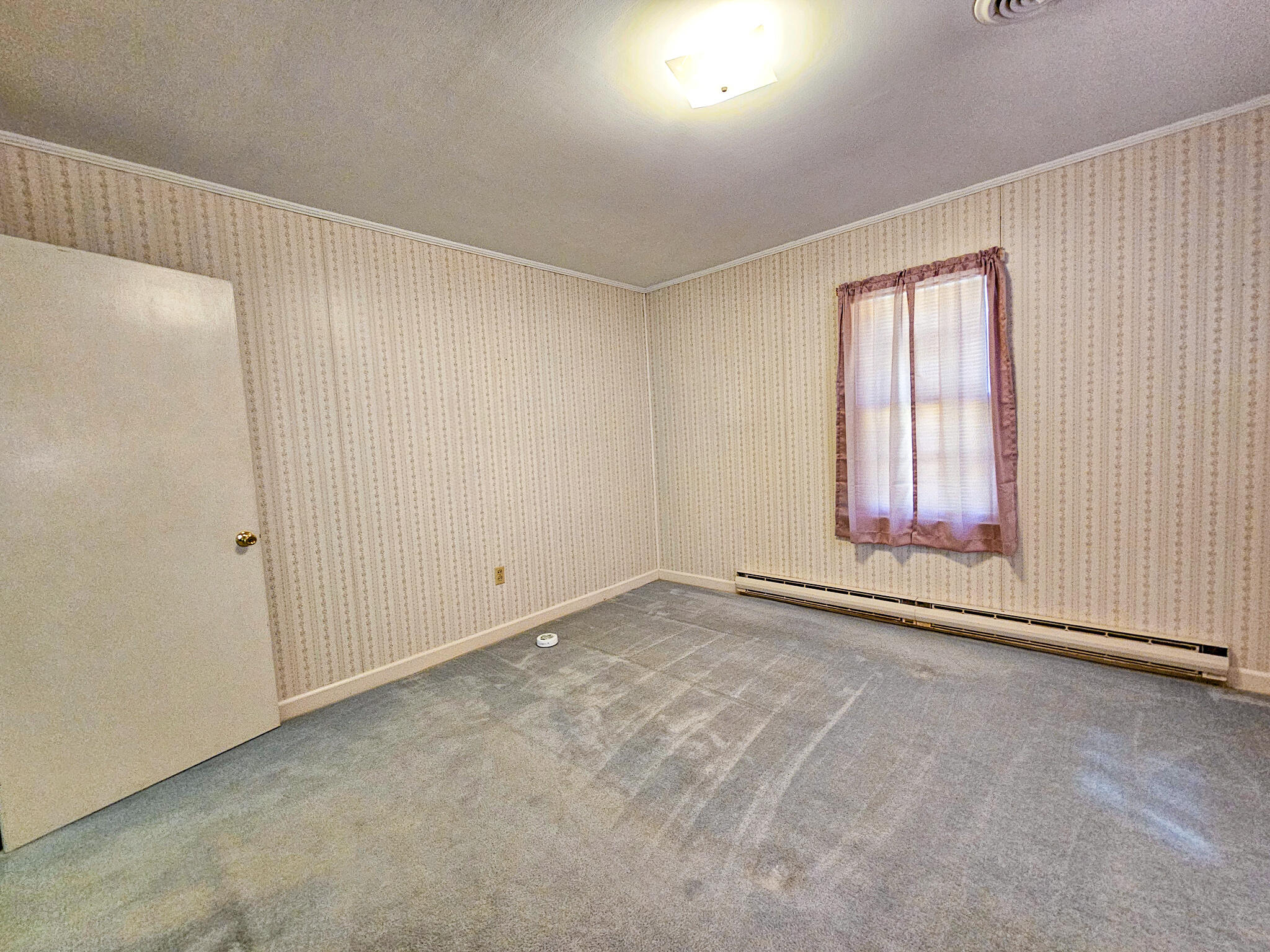 8524 Cane Branch Road Ruffin, SC 29475 - Photo 59 of 59 20250325_113640