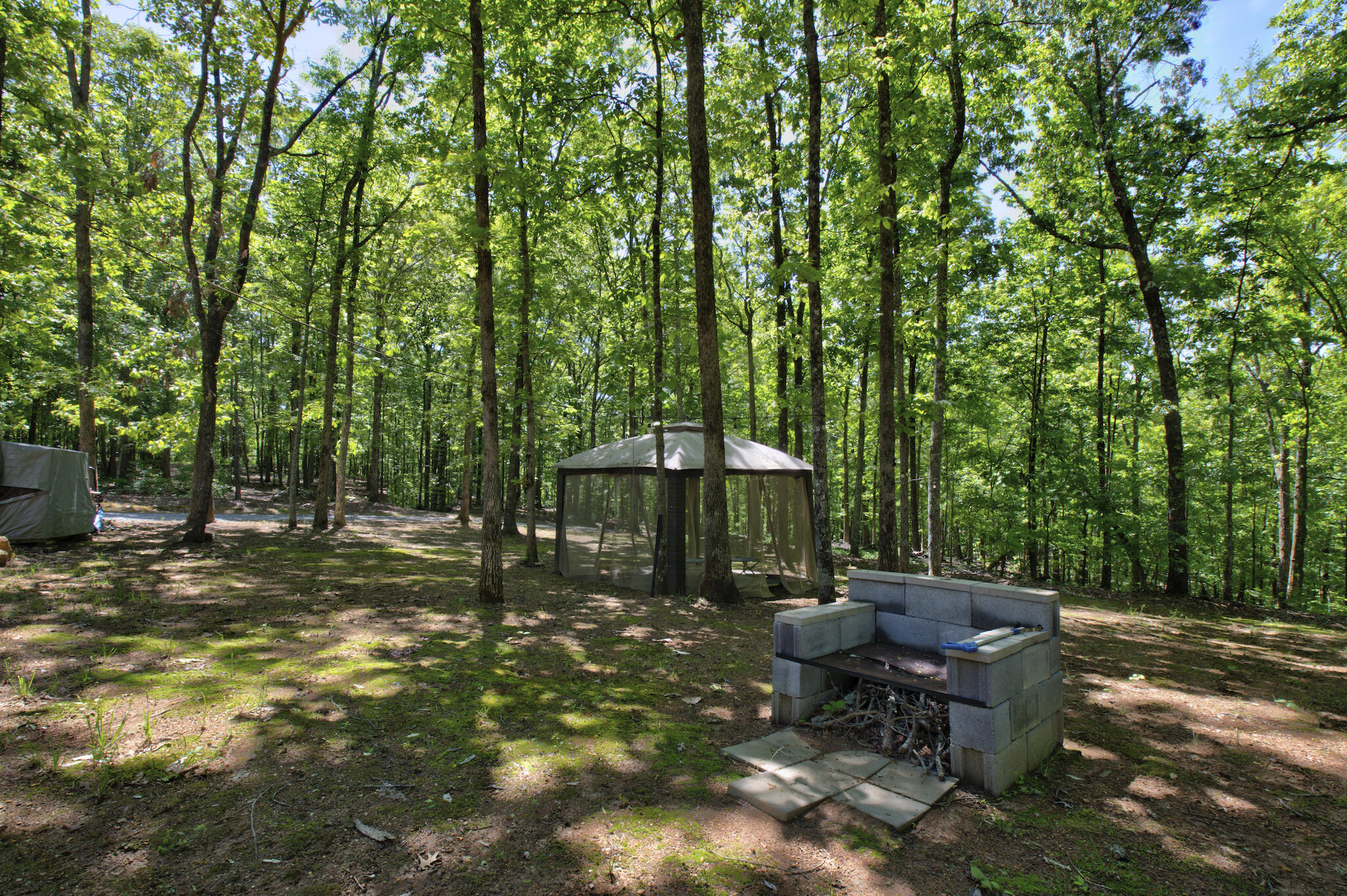 1200 Maple Grove Road Ten Mile, TN 37880 - Photo 11 of 44 1200 Maple Grove Rd 14