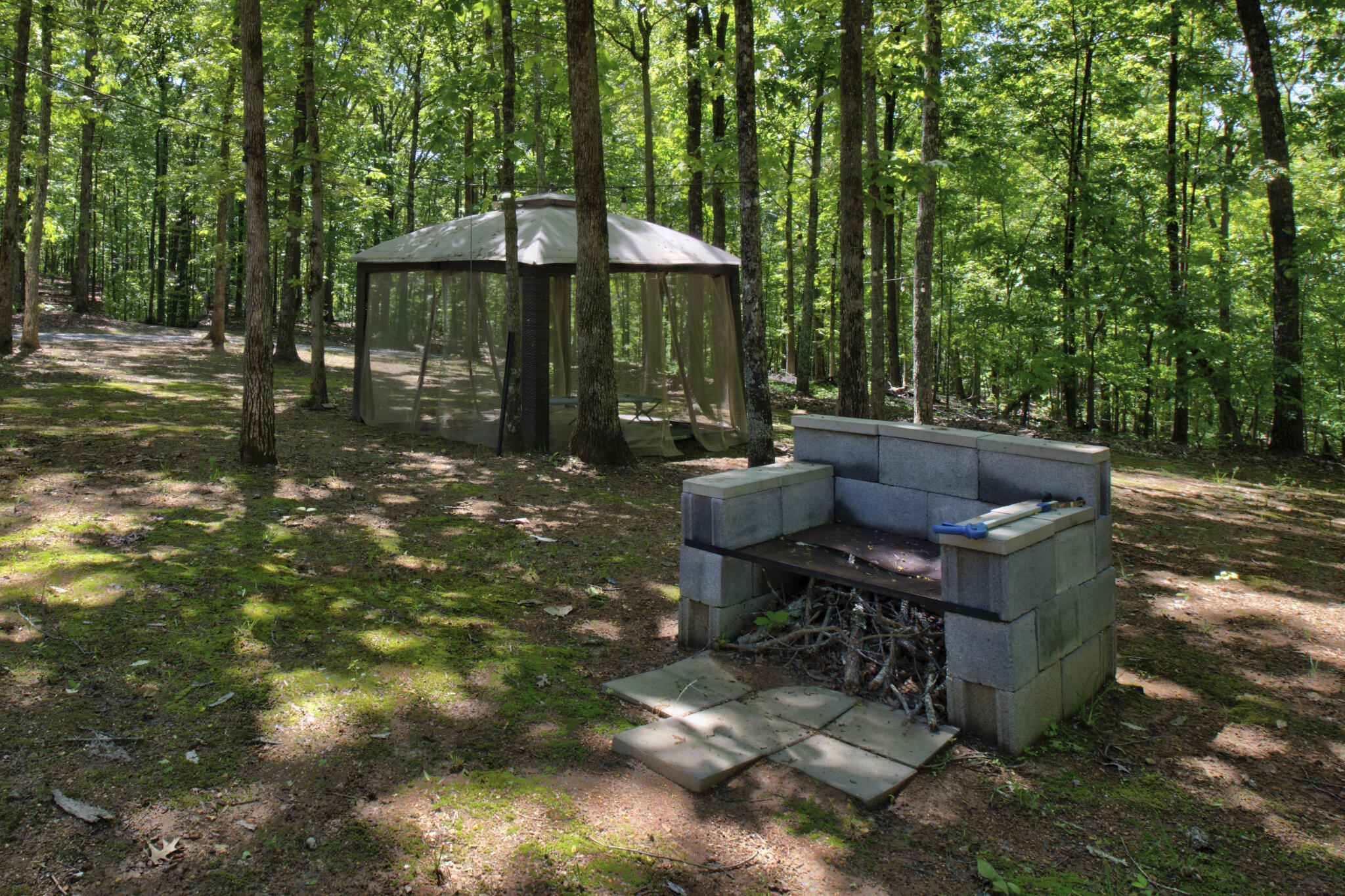 1200 Maple Grove Road Ten Mile, TN 37880 - Photo 12 of 44 1200 Maple Grove Rd 15