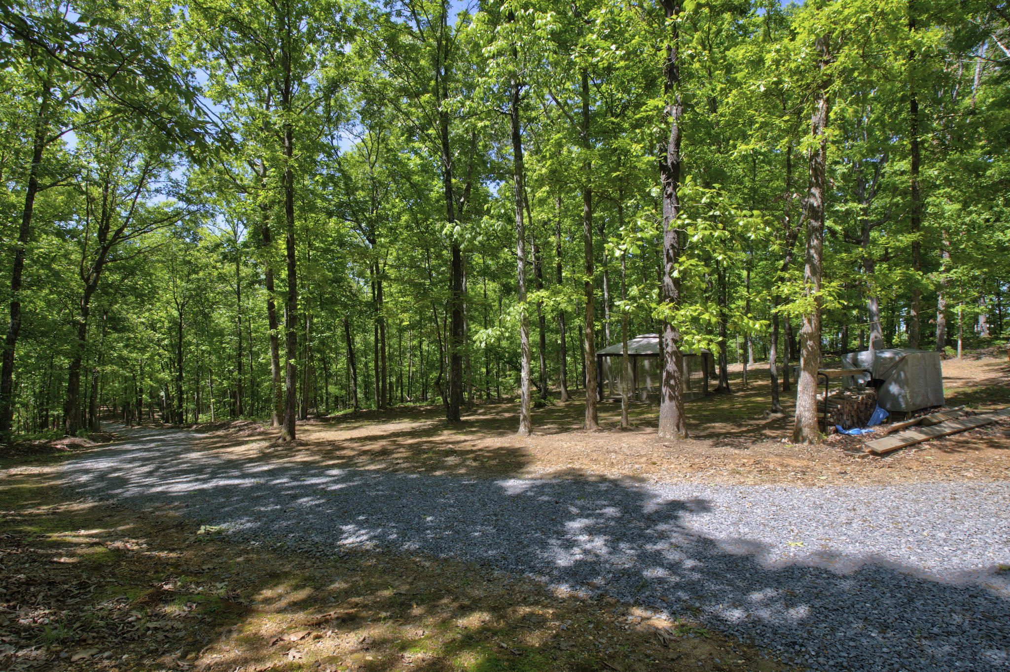 1200 Maple Grove Road Ten Mile, TN 37880 - Photo 8 of 44 1200 Maple Grove Rd 11
