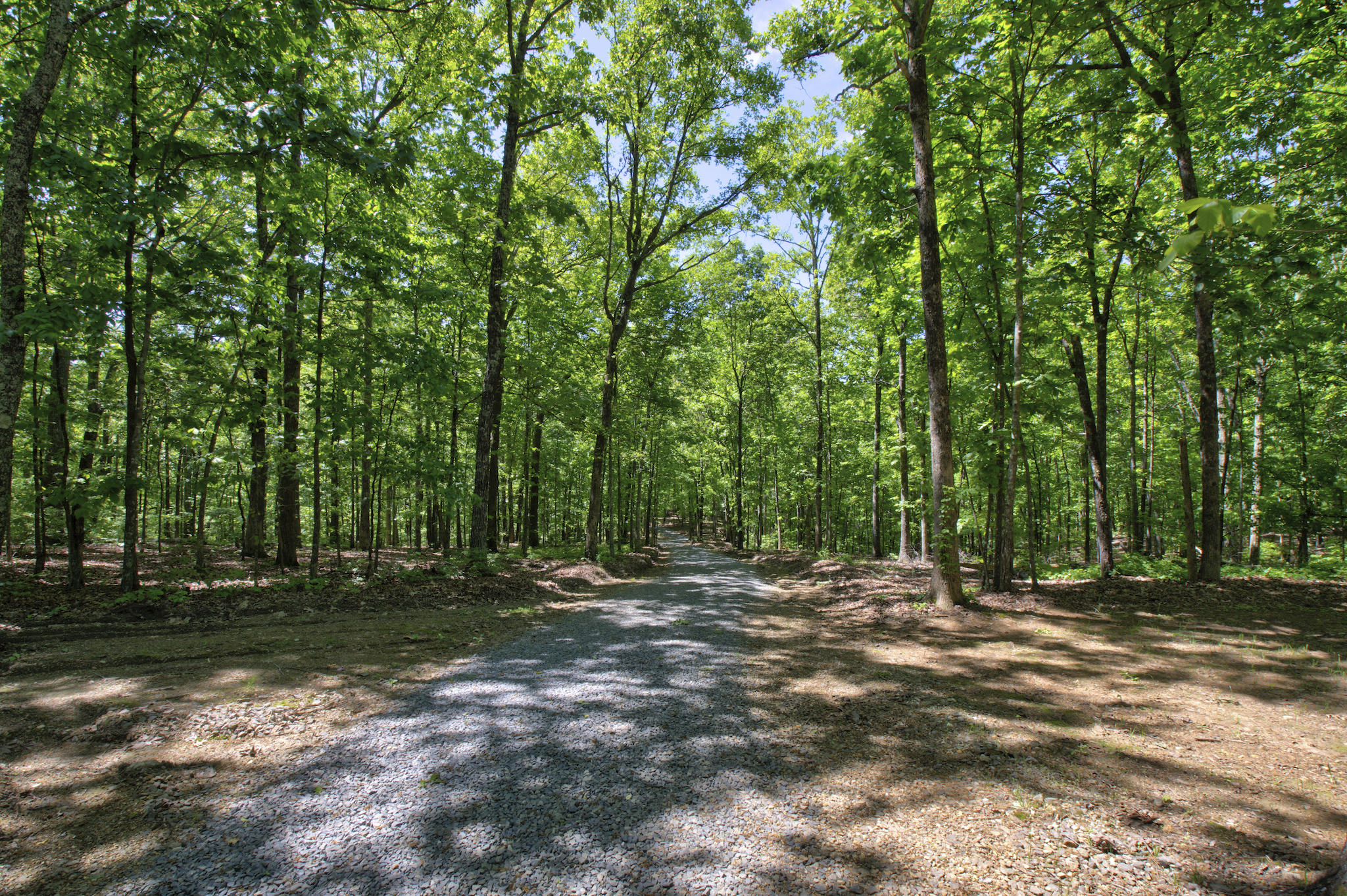 1200 Maple Grove Road Ten Mile, TN 37880 - Photo 9 of 44 1200 Maple Grove Rd 12