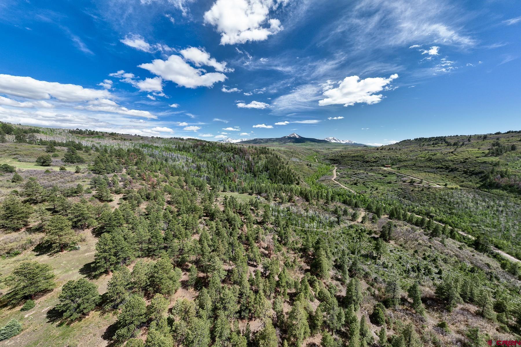 Tract 13-5 M44 Road Placerville, CO 81430 - Photo 14 of 22 Gallery Image 14