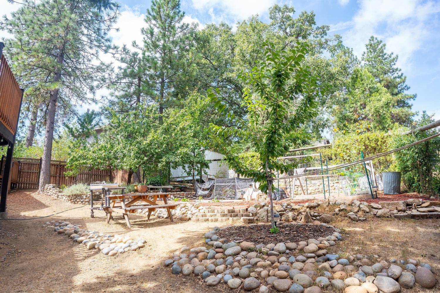 33952 Tocaloma Road Auberry, CA 93602 - Photo 35 of 39 a view of a yard with patio