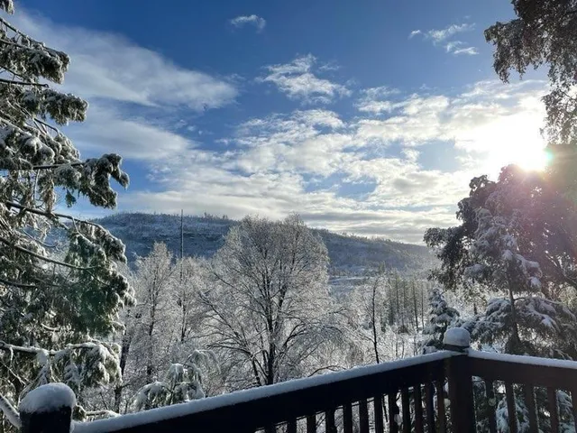 a view of a backyard of the house