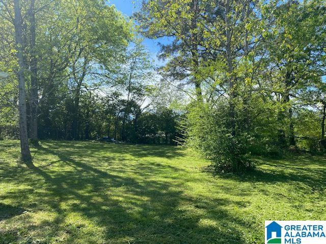 329 Sunhill Road Northwest Birmingham, AL 35215 - Photo 4 of 18