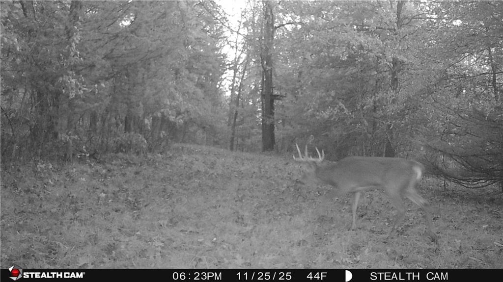 12307 Crescent Road Gilman City, MO 64642 - Photo 58 of 63