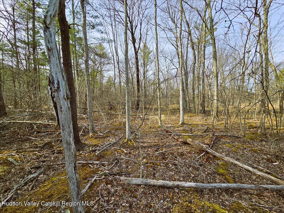 0 Stone Mountain Road Round Top, NY 12473 - Photo 12 of 23 a view of a backyard