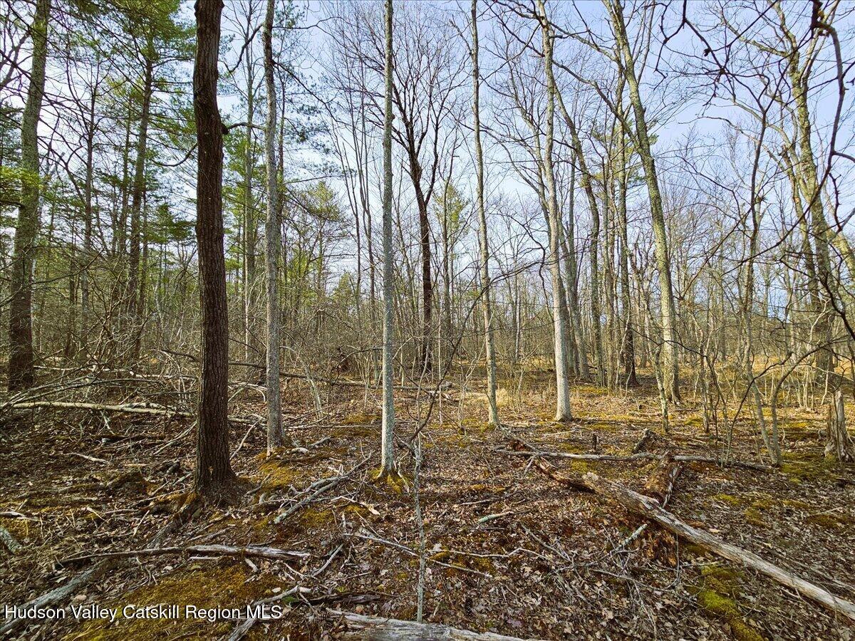 0 Stone Mountain Road Round Top, NY 12473 - Photo 13 of 23 a view of a pathway with a yard