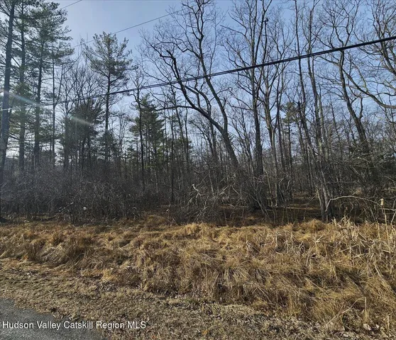 a view of a yard covered with snow