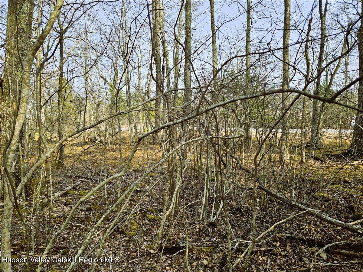 0 Stone Mountain Road Round Top, NY 12473 - Photo 17 of 23 a backyard of a house with lots of green space