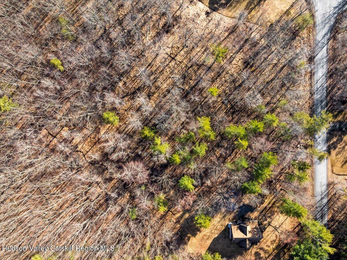 0 Stone Mountain Road Round Top, NY 12473 - Photo 20 of 23 a view of a tree