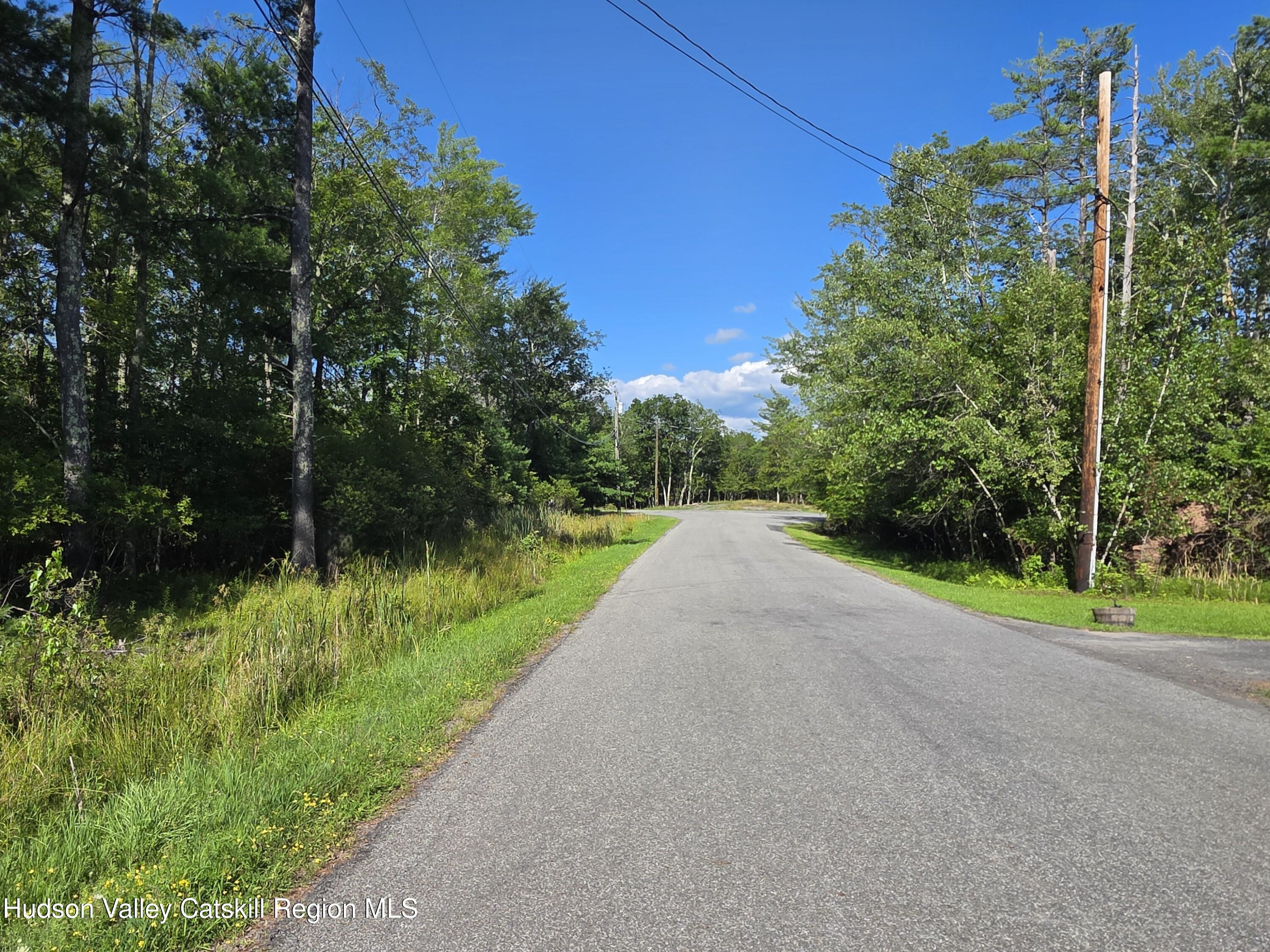 0 Stone Mountain Road Round Top, NY 12473 - Photo 3 of 23 a view of a park