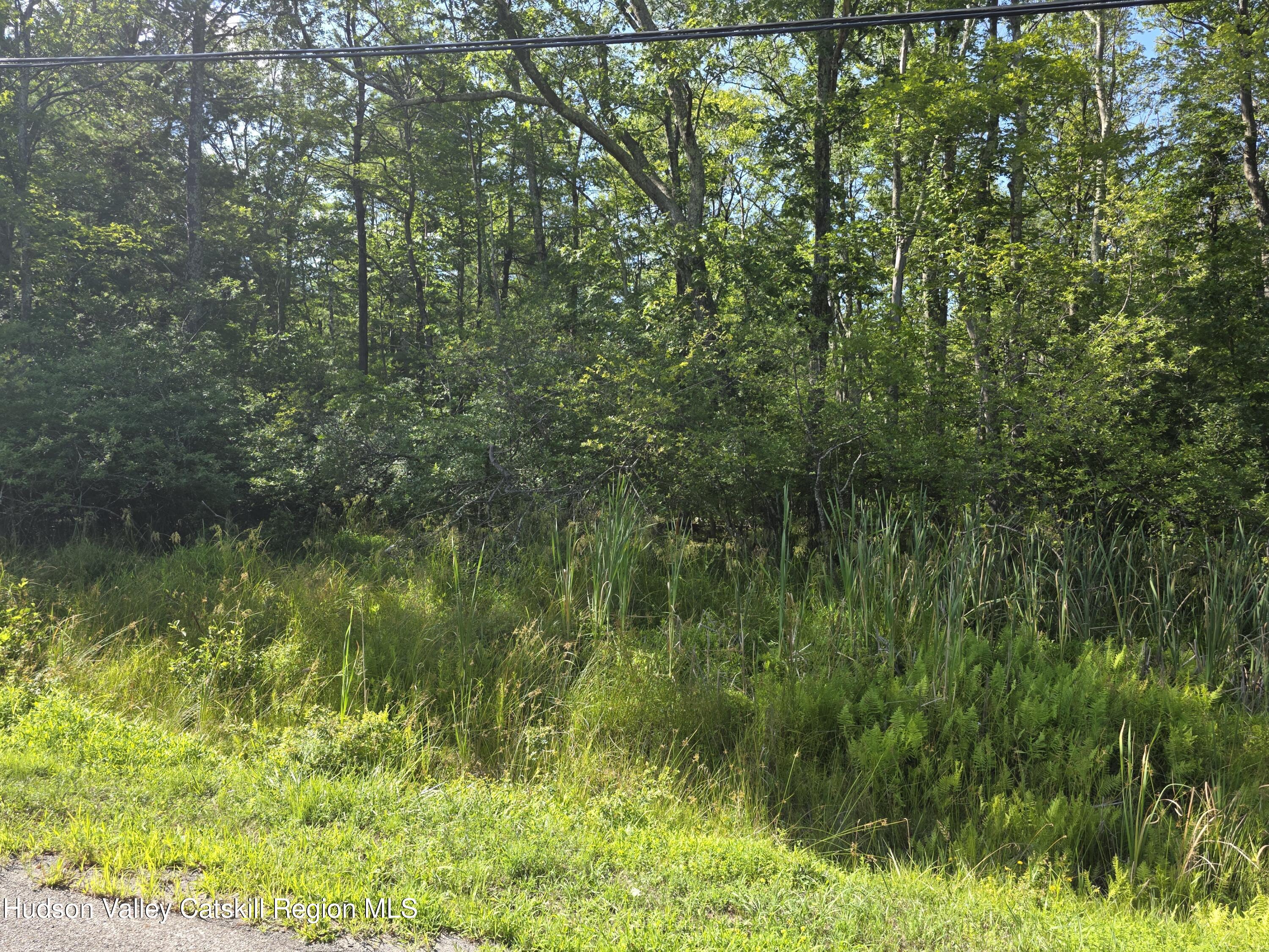 0 Stone Mountain Road Round Top, NY 12473 - Photo 4 of 23 a view of a lush green forest with lawn chairs under a large tree
