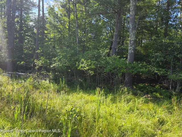 a view of a lake view