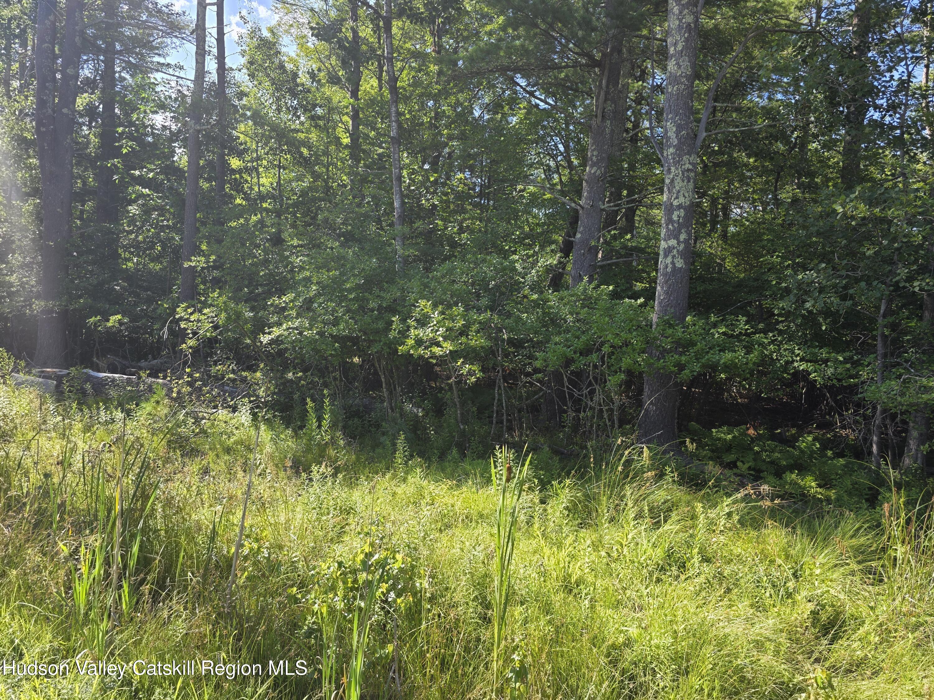 0 Stone Mountain Road Round Top, NY 12473 - Photo 7 of 23 a view of a lake view